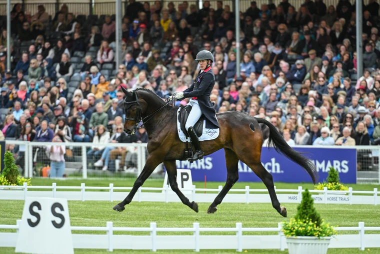 A bay horse in extended trot in the dressage arena before a full grandstand, in 2025. Badminton Horse Trials, Gloucestershire, in the season calendar of The Mansa Court