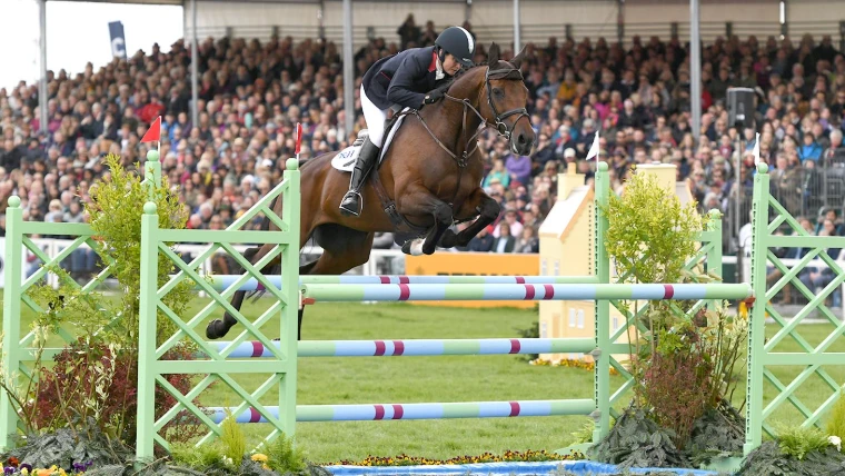 A bay horse clears a green and lilac show jump in the main arena before a packed stand, in 2019. Badminton Horse Trials, Gloucestershire, in the season calendar of The Mansa Court