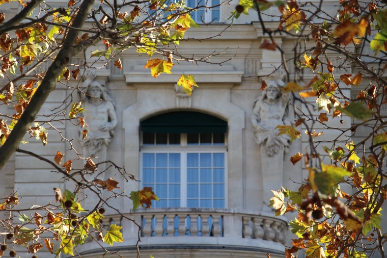 A carved stone window and balustraded balcony of the Shangri-La Paris, framed by golden autumn plane leaves (2015).