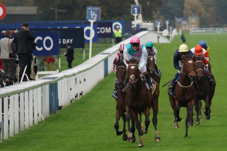 Racehorses and jockeys in silks come head-on toward the camera along the white rail on a green racecourse (2012).