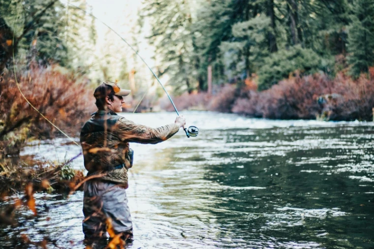An angler casting a fly line into a clear, fast stretch of the Beaverkill among the pines of the Catskills, New York, for Fly Fishing in the Catskills, a morning in the season calendar of The Mansa Court