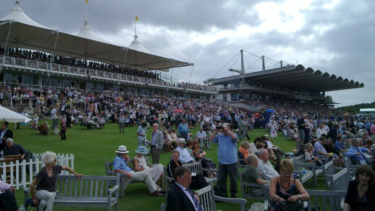 Racegoers fill the lawn and benches in front of the canopied grandstands, which are packed with spectators (2010).