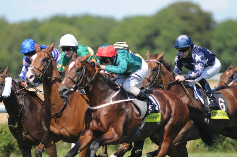 A tight field of racehorses and jockeys in bright silks gallops past at close range (2009).