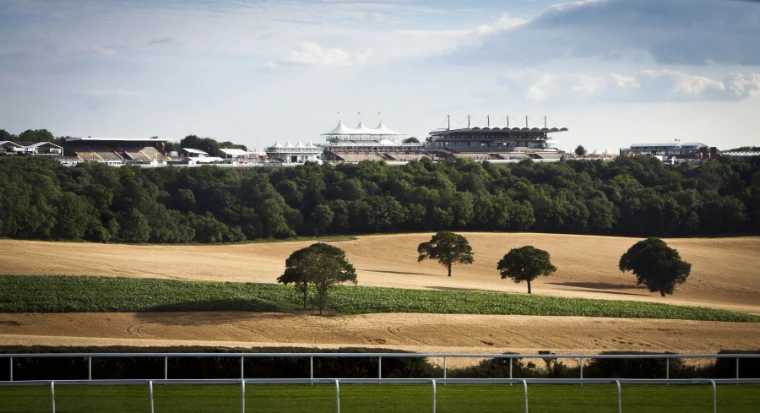 The white canopied grandstands of Goodwood Racecourse sit on the wooded ridge above golden harvested fields with lone trees, seen past the white running rails (2010).