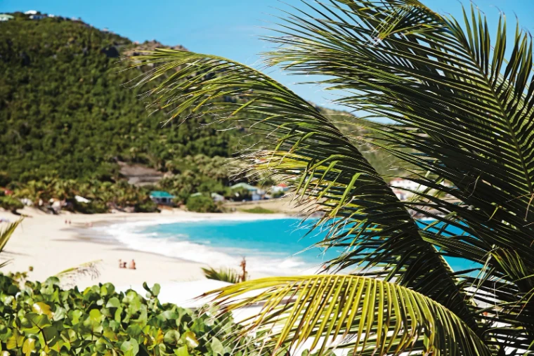 Palm fronds over the white sand and turquoise water of Flamands beach on Saint Barthélemy, the island of Les Voiles de Saint-Barth, a mid-April engagement in the season calendar of The Mansa Court