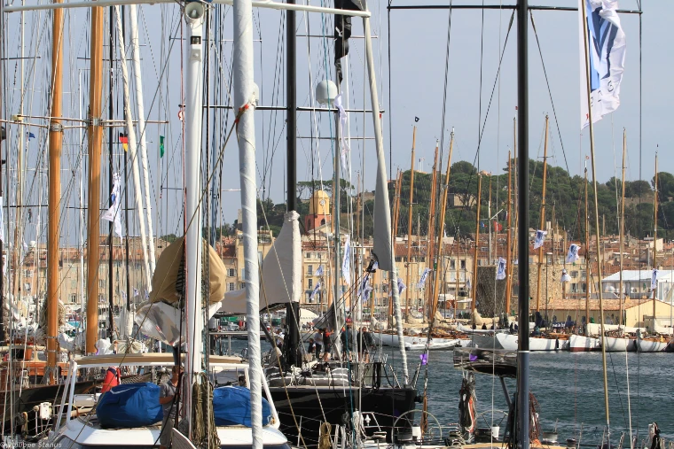 Wooden and aluminium masts of yachts moored in the harbour of Saint-Tropez, with the town’s façades, its yellow and pink bell tower and the citadel hill behind (2013).