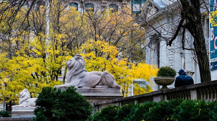 A marble lion on its plinth beside the Library’s Fifth Avenue terrace, framed by trees in yellow autumn leaf on a grey November day (2013).