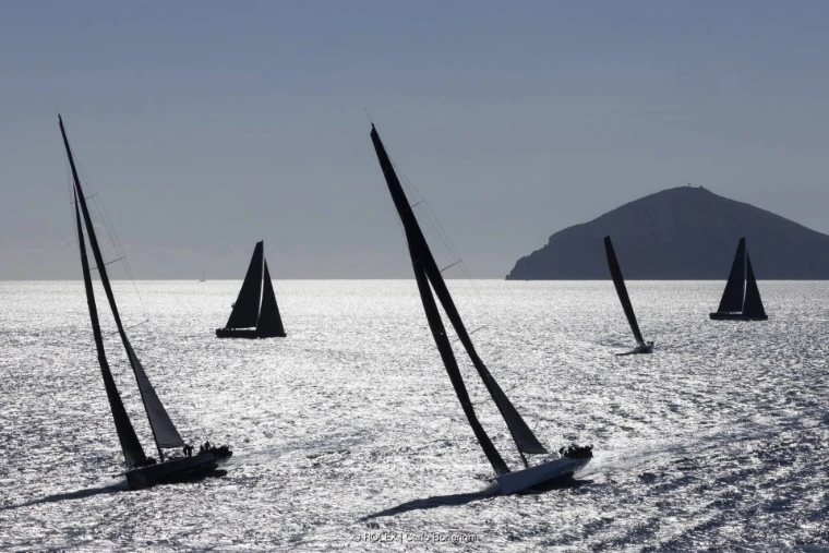 Maxi yachts in silhouette on a sea of glittering light, with a headland behind (2024).