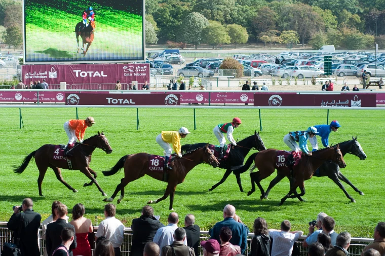 A string of racehorses and jockeys in coloured silks galloping across the green turf, with racegoers at the rail in the foreground and trees and a big screen beyond (2009).