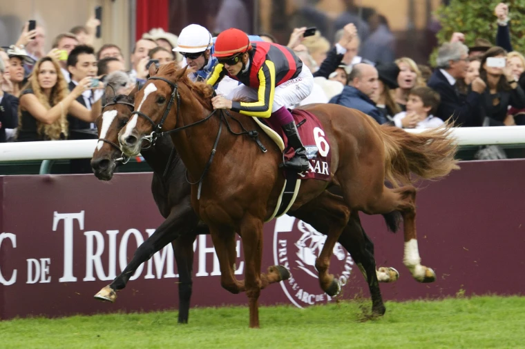 Two racehorses at full stretch along the rail beneath a Prix de l’Arc de Triomphe hoarding, with a cheering crowd behind (2013).