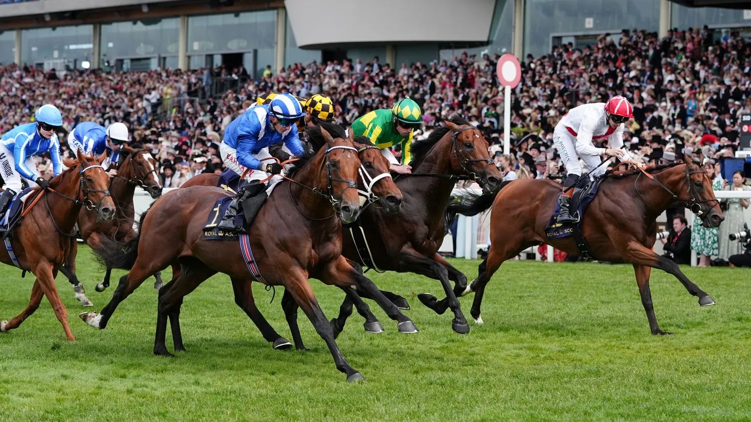 Flat racing at full stretch in front of the grandstand at Royal Ascot