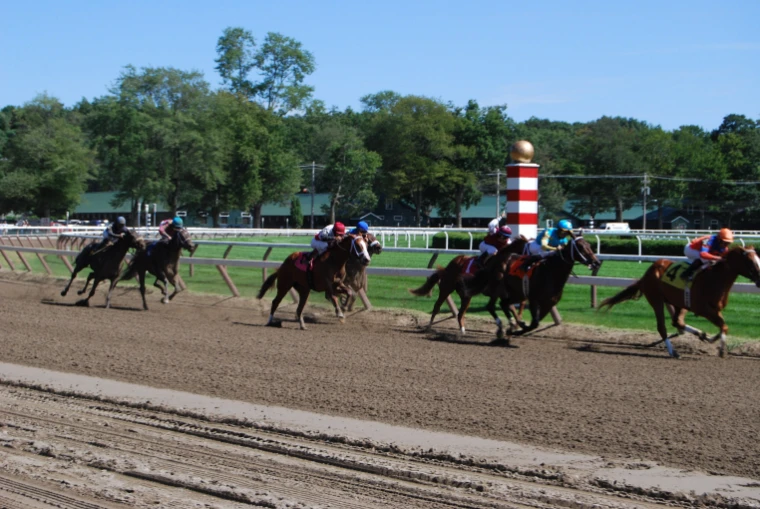 A field of thoroughbreds and jockeys in bright silks races along the dirt track past a red-and-white striped pole, with green trees and barns beyond (2009).