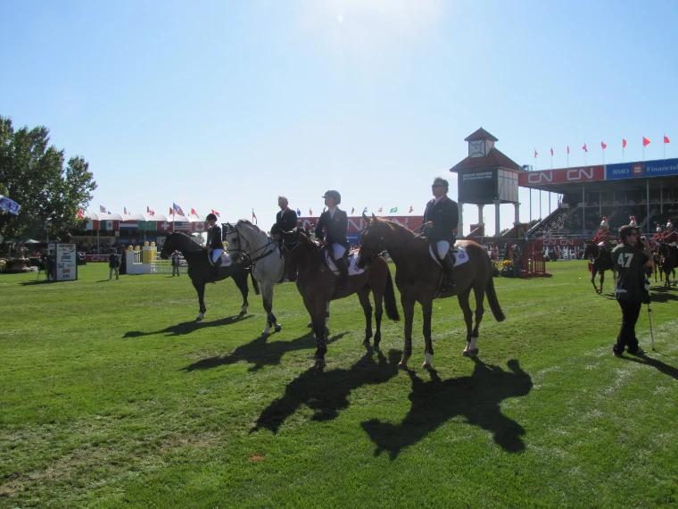 Riders on horseback stand on the grass of the ring in bright sun, with the clock tower and grandstand behind (2011).