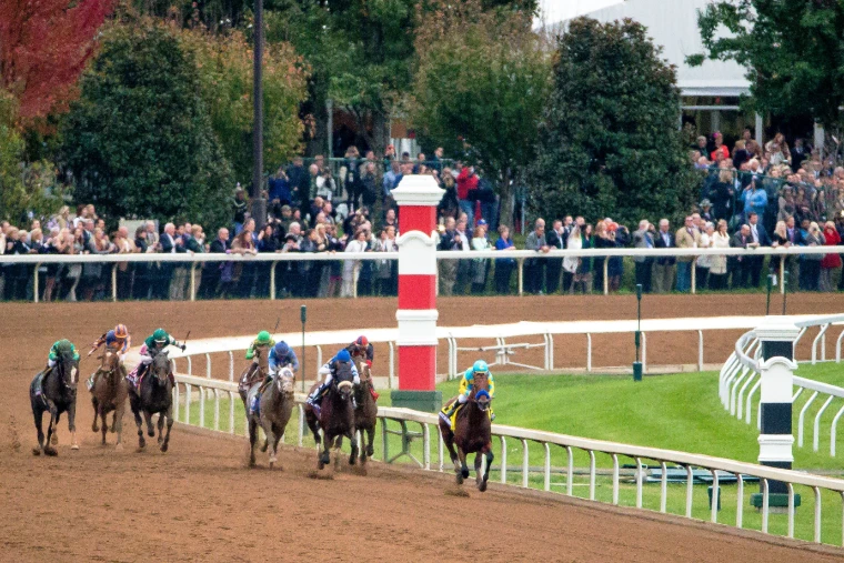 Racehorses running past a red and white pole on the dirt, with the crowd and autumn trees beyond the rail.