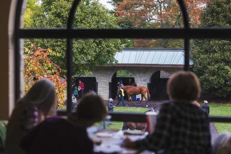 A chestnut racehorse led round the paddock beneath autumn trees and a stone saddling barn, seen through an arched window.