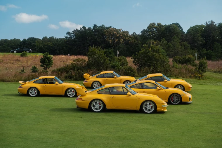 A group of yellow Porsche 911s set out together on the grass in front of a line of trees under a blue sky (2025).