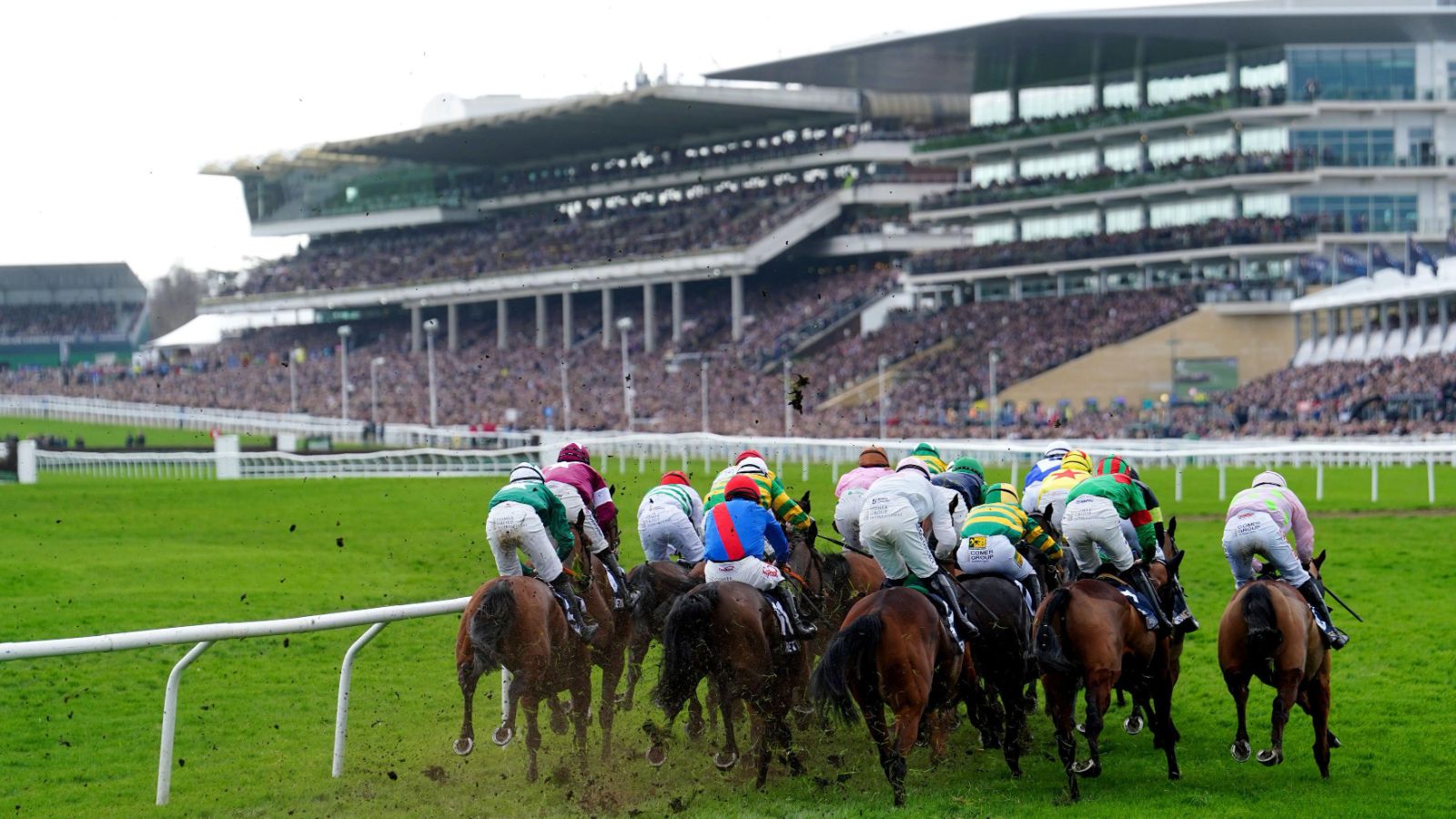 The field turning for home before the packed grandstands at The Cheltenham Festival, the four days of jump racing The Mansa Court keeps each March
