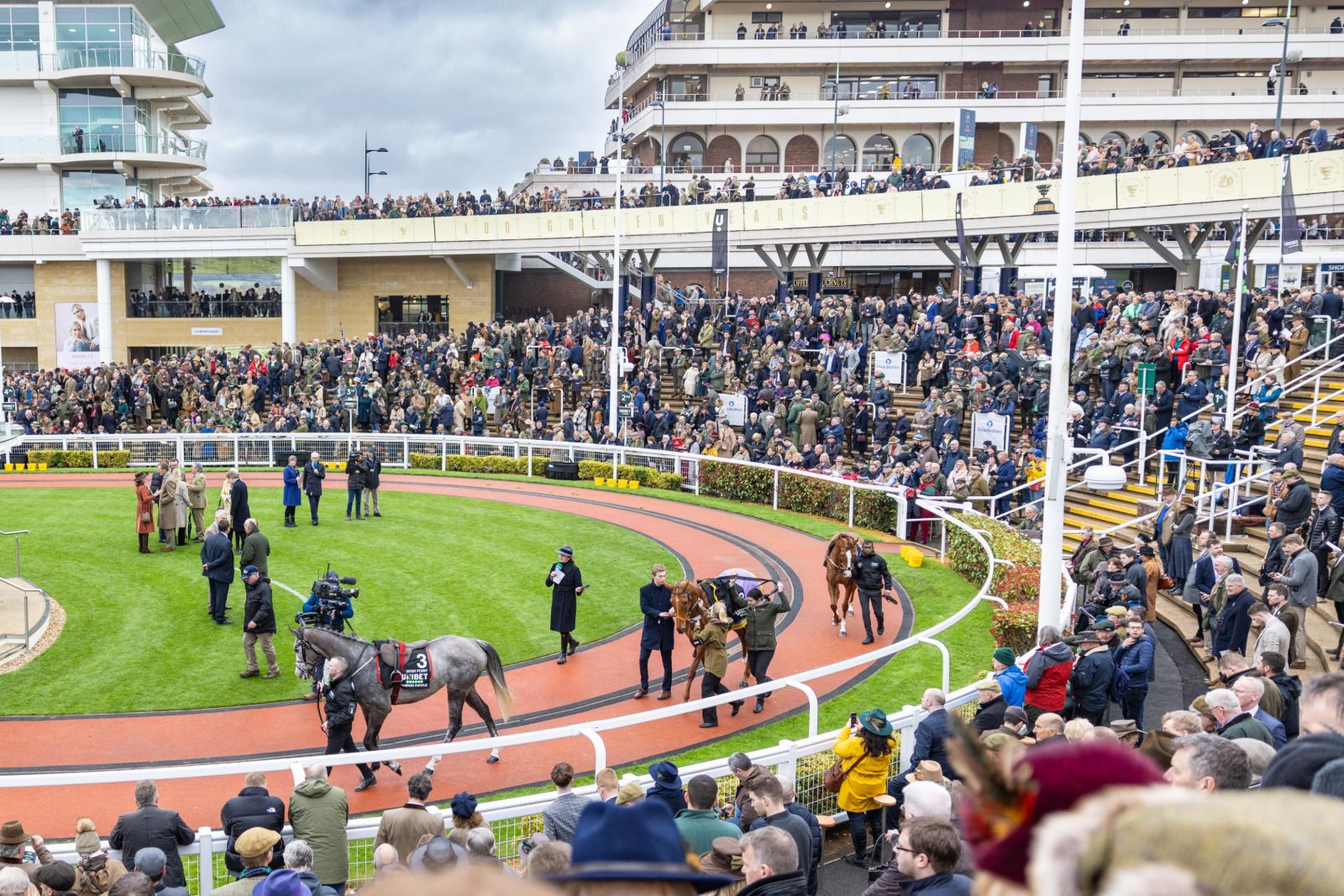Runners walking the parade ring before racing at The Cheltenham Festival, the crowd in tweed and country attire in the enclosures around them