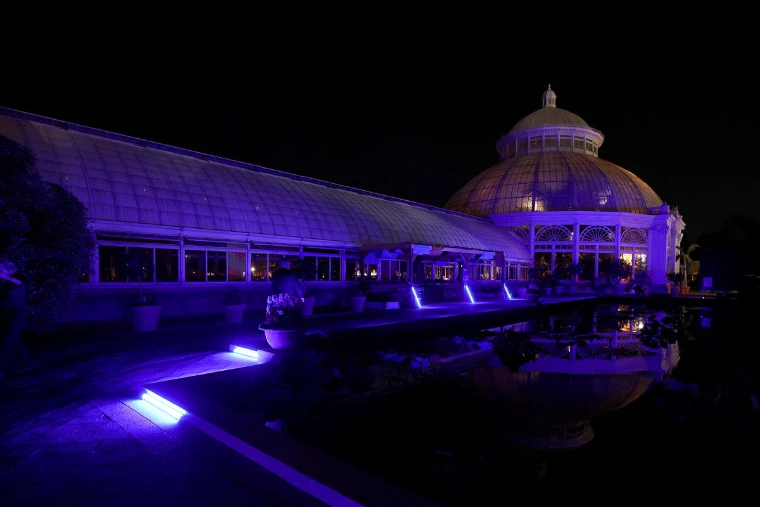 The Enid A. Haupt Conservatory lit violet on the night of the Conservatory Ball, its dome reflected in the pool (2026). The Conservatory Ball at the New York Botanical Garden, the Bronx, in the season calendar of The Mansa Court