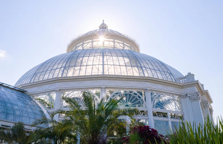 The restored Palm Dome of the Enid A. Haupt Conservatory against a clear sky, palms below (2020). The Conservatory Ball at the New York Botanical Garden, the Bronx, in the season calendar of The Mansa Court