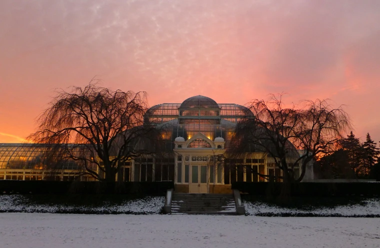 The glass palm dome of the Enid A. Haupt Conservatory silhouetted against a pink winter sunset, bare weeping trees either side and snow on the lawn (2013).