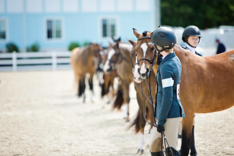 Young riders stand with their ponies for the conformation class. The Devon Horse Show and Country Fair at the Devon Show Grounds, Pennsylvania, in the season calendar of The Mansa Court