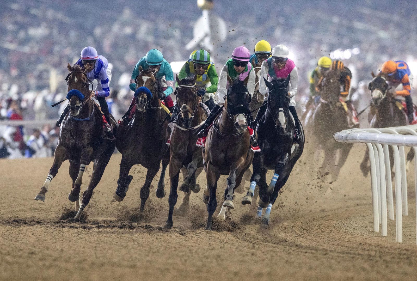 The field kicking up sand round the turn on the dirt under floodlight at the Dubai World Cup, Meydan Racecourse, attended by members of The Mansa Court