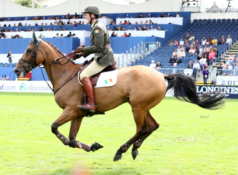 A rider in army uniform canters a light bay horse across the arena grass in front of the stands (2012).