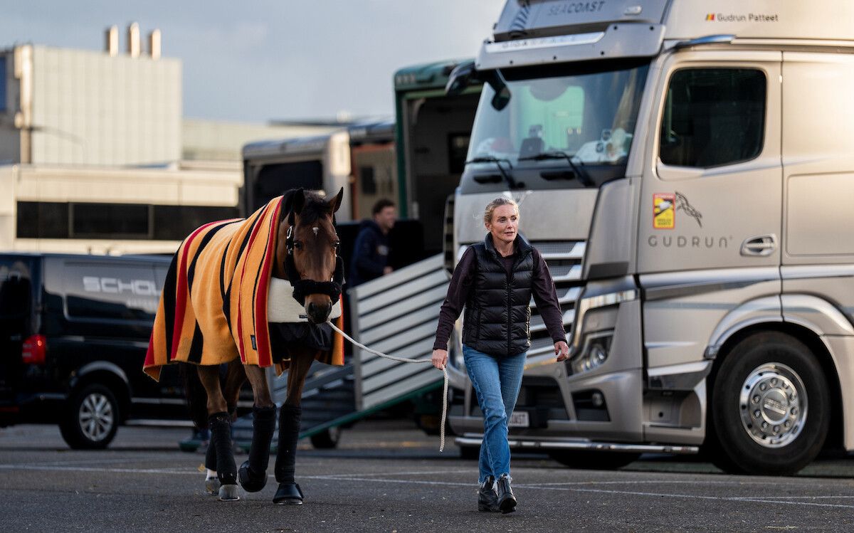 A groom walking a rugged horse through the lorry park at The Dutch Masters, Indoor Brabant Horse Show, attended by members of The Mansa Court