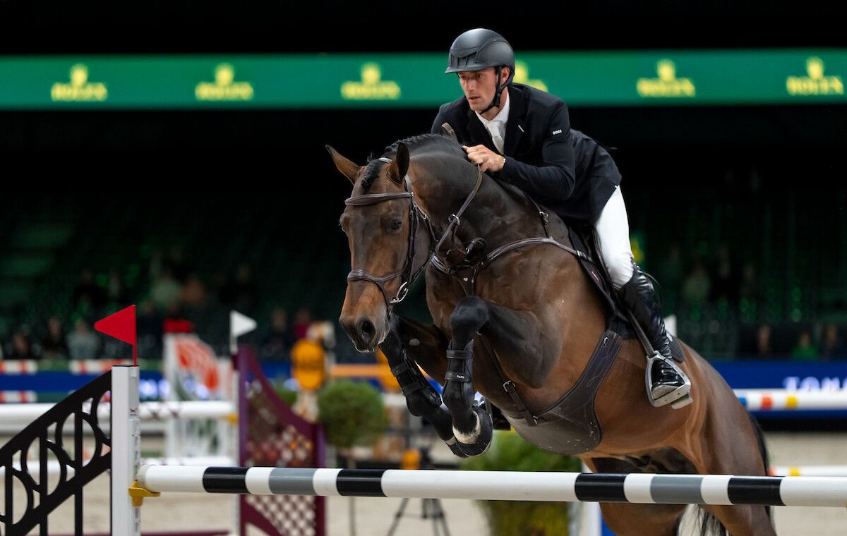 A bay clearing the last fence before the Rolex boards at The Dutch Masters, the Indoor Brabant Horse Show in ’s-Hertogenbosch The Mansa Court keeps each March