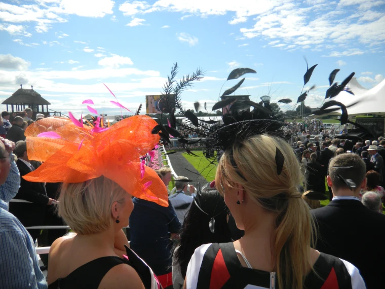 Two women seen from behind wear an orange and a black feathered fascinator among the crowd at the course (2010).