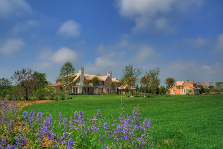 Purple flowers in the foreground of a broad green lawn leading to shingled houses among young trees under a blue sky with white clouds (2007).