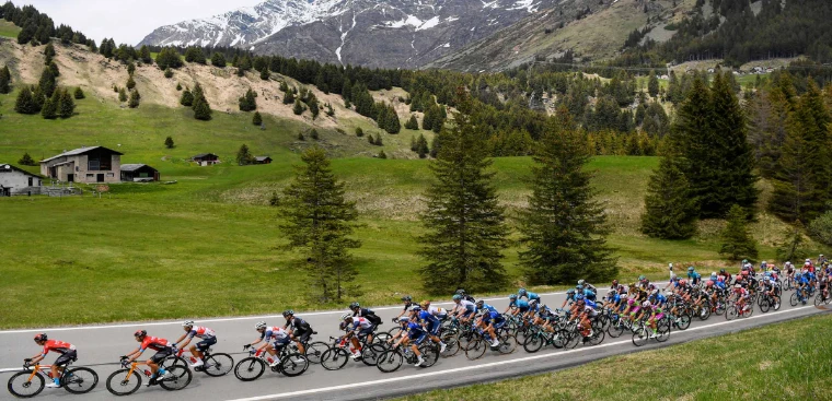 The peloton winds along a mountain road through alpine meadows and pines beneath snow-streaked peaks. The Giro d’Italia, in the season calendar of The Mansa Court