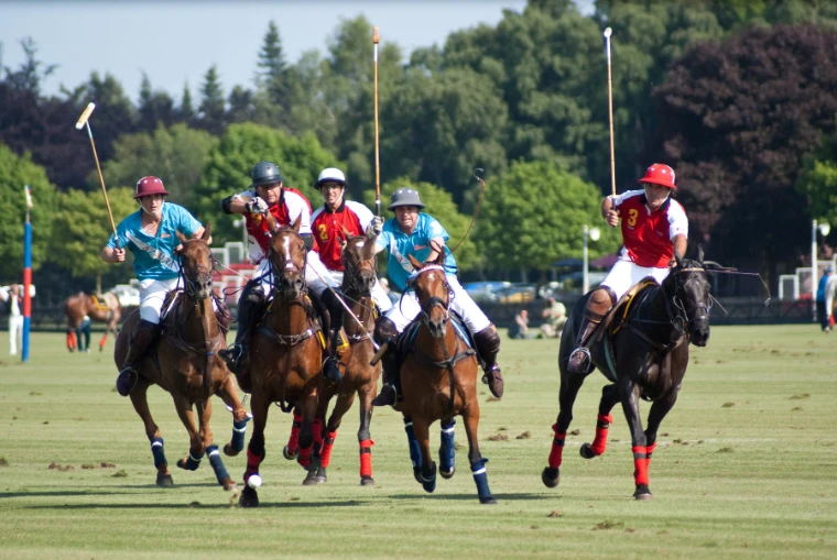 A group of polo players in red and turquoise shirts charge towards the camera on galloping ponies, mallets raised, against a line of summer trees (2009).