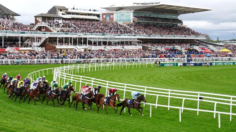 The field on the turn before the Princess Royal and Lord Daresbury stands at Aintree Racecourse, Liverpool, during the Grand National meeting, an April engagement in the season calendar of The Mansa Court