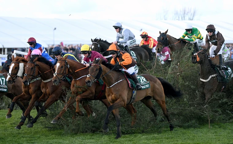Runners in bright silks brushing through the spruce as they jump a fence in the Grand National at Aintree, the April steeplechase in the season calendar of The Mansa Court