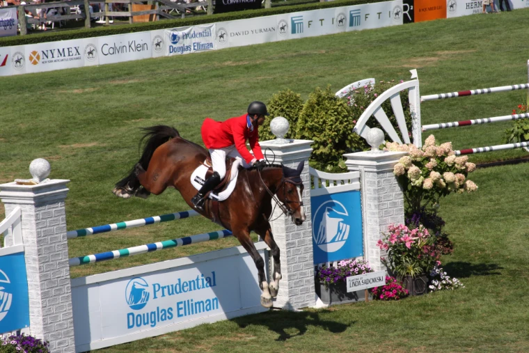 A rider in a red jacket takes a bay horse over a blue-and-white fence beside banners and pink hydrangeas in the grass jumping ring (2008).