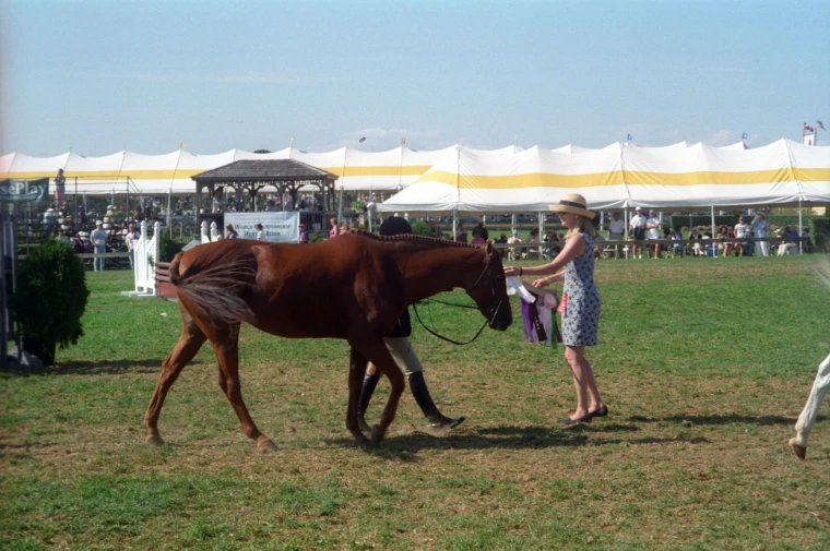 A woman in a straw sun hat holds a chestnut horse and a bunch of ribbons on a lawn in front of yellow-and-white striped marquees (1994).