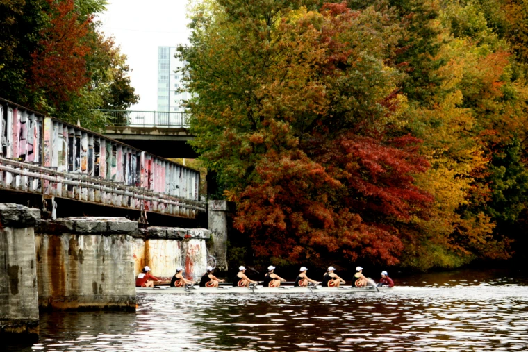 An eight rows past the stone piers of a graffitied railroad bridge, with a riverbank of red and gold autumn trees behind (2010).