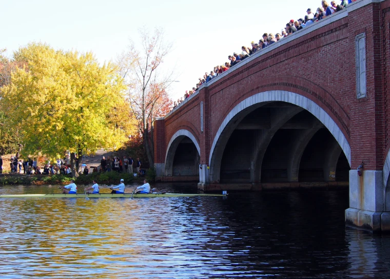 A coxed four rows toward a red-brick arched bridge lined with spectators, golden autumn trees on the bank (2013).