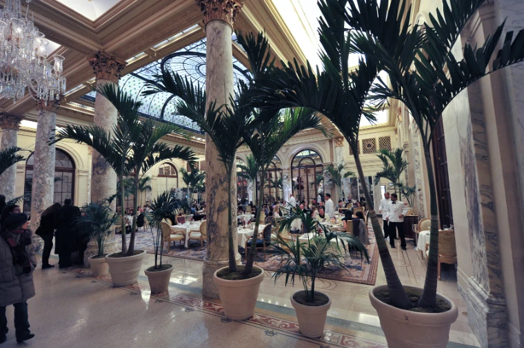 The Palm Court of the Plaza, with potted palms, marble columns and laid tables under a glass ceiling, on Christmas Day (2008).