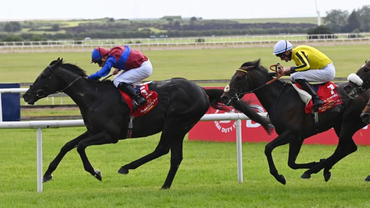 Two dark colts stretching out along the white rail in the closing stages of the Irish Derby at the Curragh, the June Classic in the season calendar of The Mansa Court