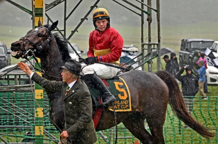 A horse and jockey in red and gold led in through driving rain after the race at The Maryland Hunt Cup, a late-April engagement in the season calendar of The Mansa Court