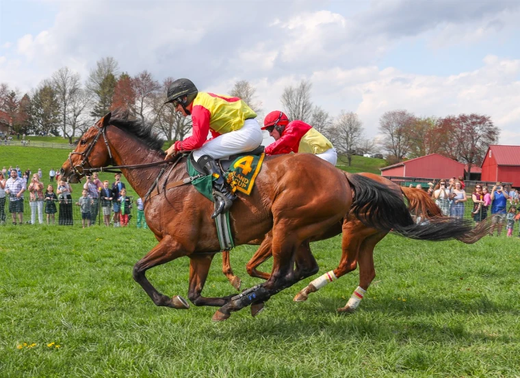 Two horses racing neck and neck across the turf past the crowd at the rail at The Maryland Hunt Cup, a late-April engagement in the season calendar of The Mansa Court