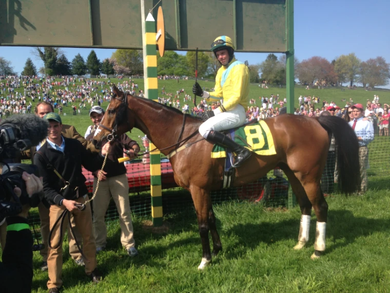 The 2013 winner led in beneath the finish board before the hillside crowd at The Maryland Hunt Cup, a late-April engagement in the season calendar of The Mansa Court