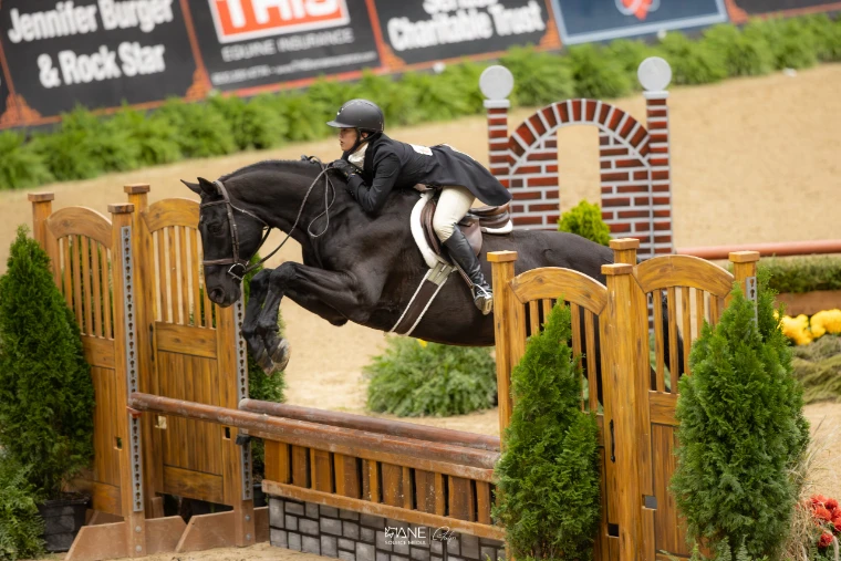 A dark horse with a braided mane jumping a rustic wooden gate in the indoor ring, its rider in a black coat (2025).