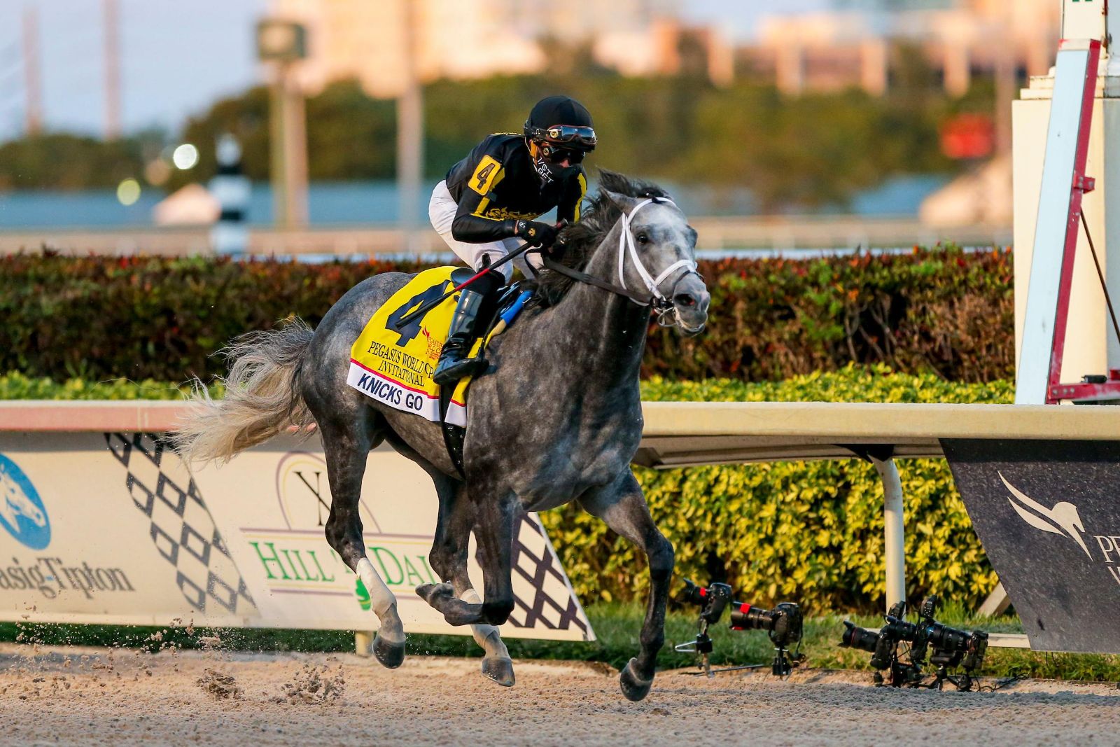 The field breaking from the gate in the Pegasus World Cup Invitational at Gulfstream Park