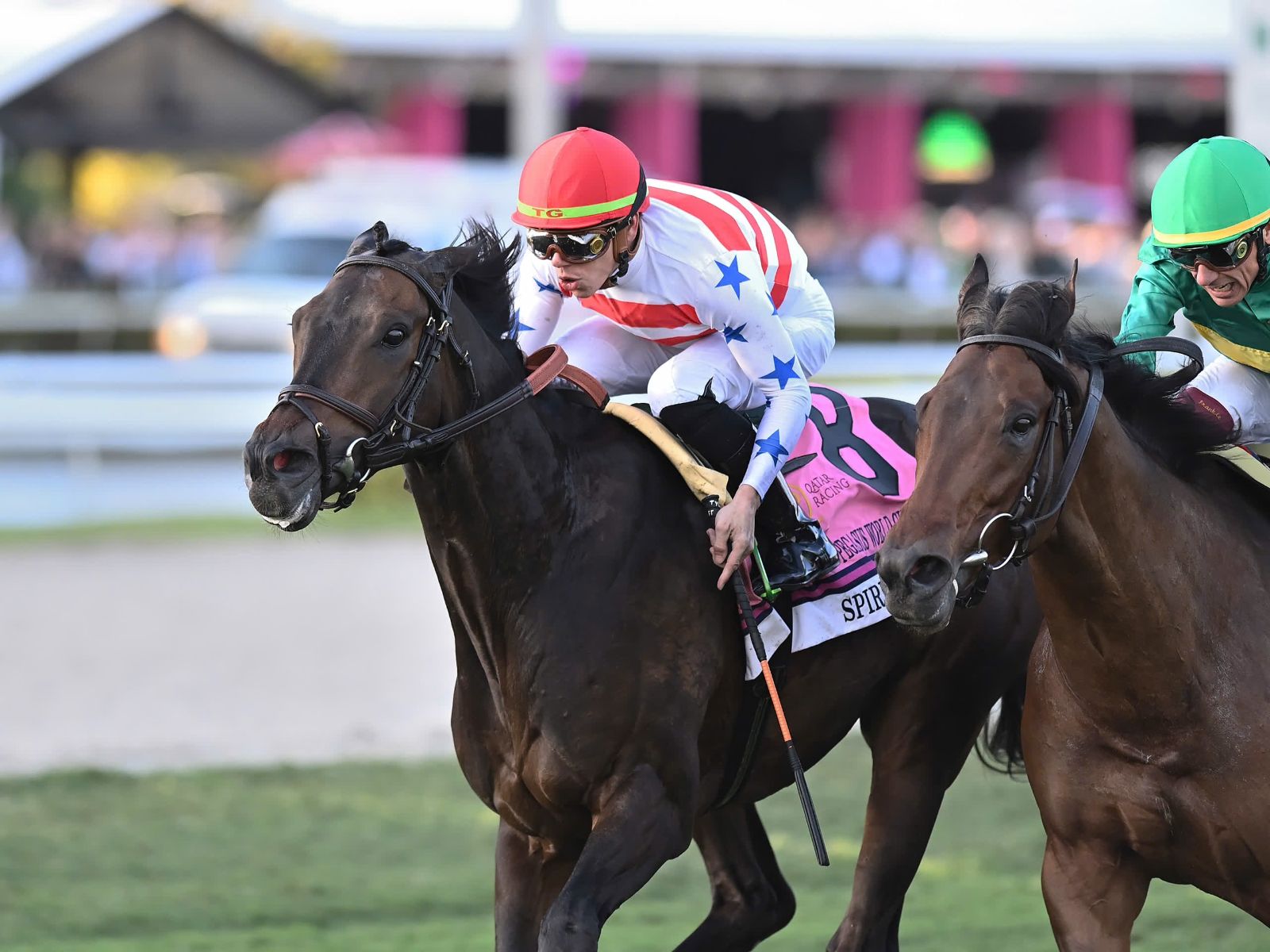 The turf course at Gulfstream Park on Pegasus day