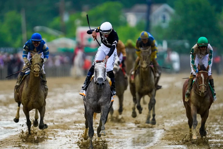 A grey and his jockey come home clear through the mud as the rider salutes the win, in 2024. The Preakness Stakes at Pimlico, Baltimore, in the season calendar of The Mansa Court