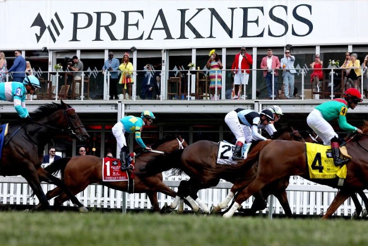 The field races on the turf past the Preakness terrace, guests in bright race-day dress watching from the rail above, in 2023. The Preakness Stakes at Pimlico, Baltimore, in the season calendar of The Mansa Court